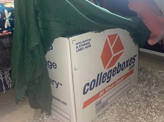 Ways to Reuse Zip Ties in Your Dorm - Collegeboxes: College Moving, Student  Storage Shipping.